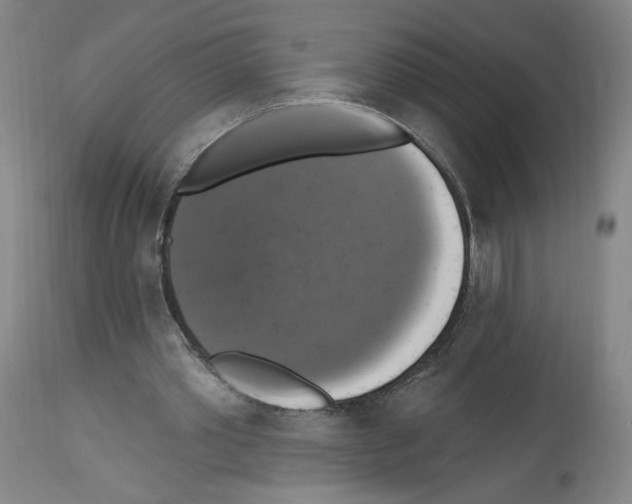 X0000112910389200910051048