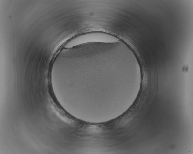 X0000112910390200910051048