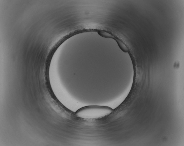 X0000112910391200910051048