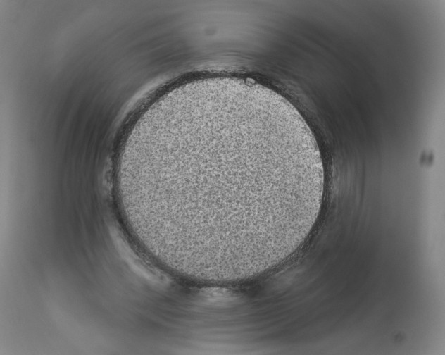 X0000112910392200910051048