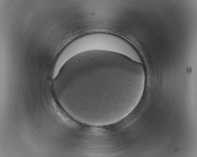 X0000112910393200910051048