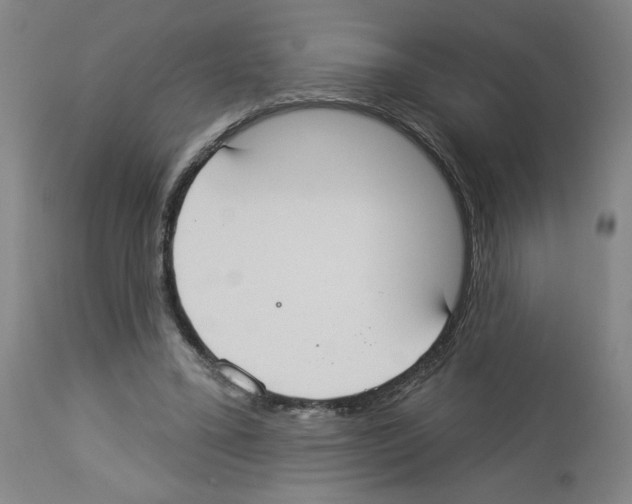 X0000112910395200910051048