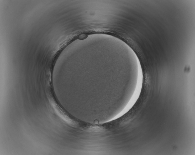 X0000112910397200910051048