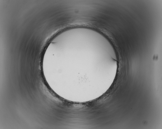 X0000112910399200910051048