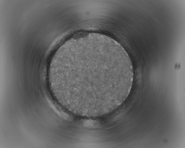 X0000112910400200910051048