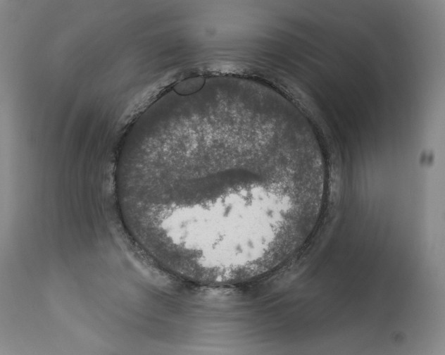 X0000112910401200910051048