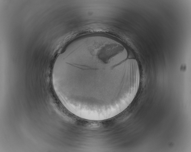 X0000112910402200910051048