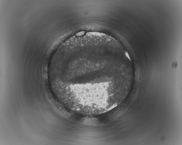X0000112910403200910051048
