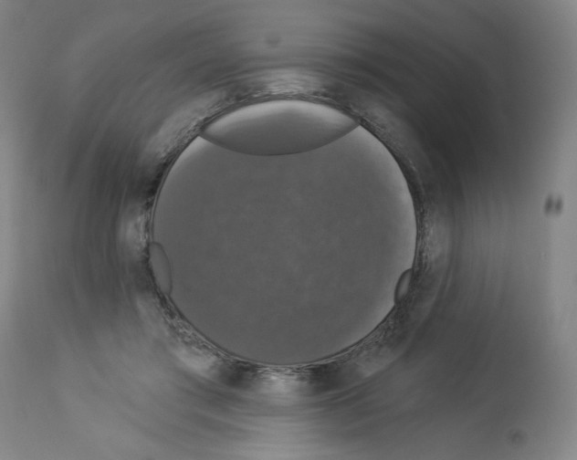 X0000112910405200910051048