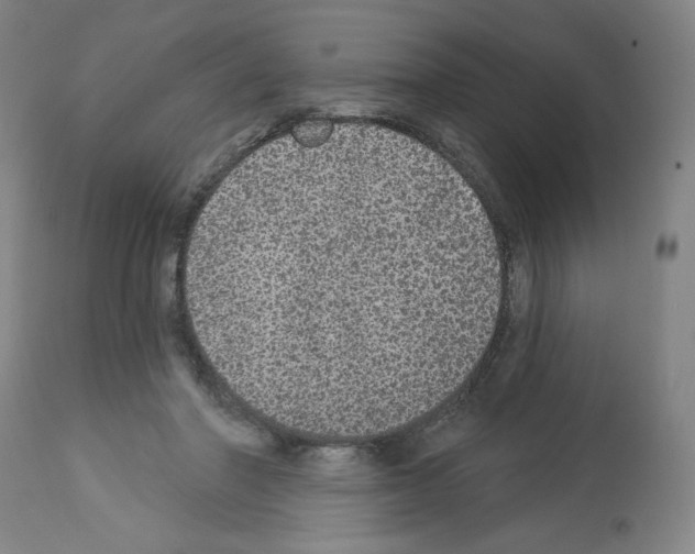 X0000112910406200910051048