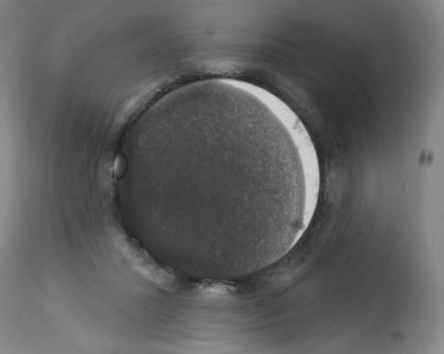 X0000112910407200910051048