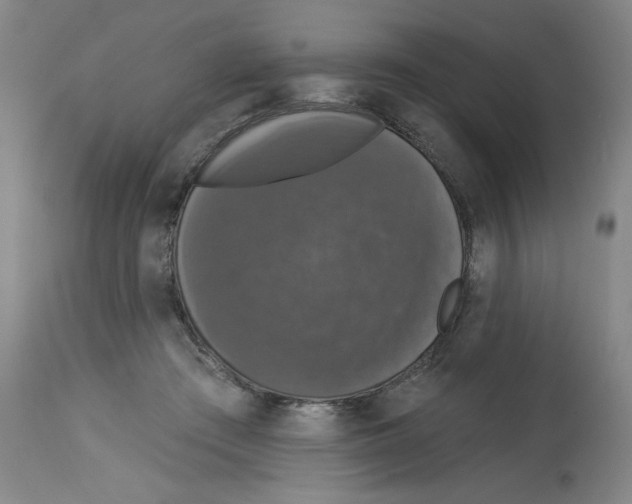 X0000112910409200910051048
