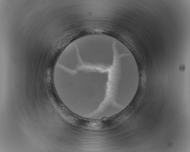 X0000112910410200910051048