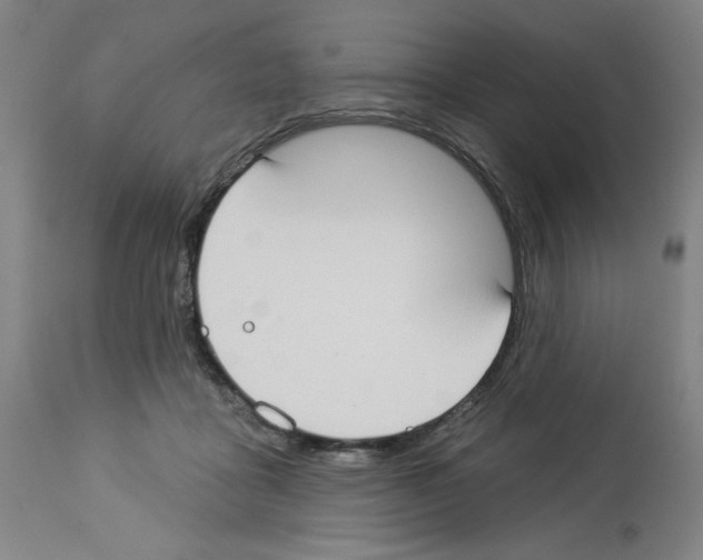 X0000112910411200910051048