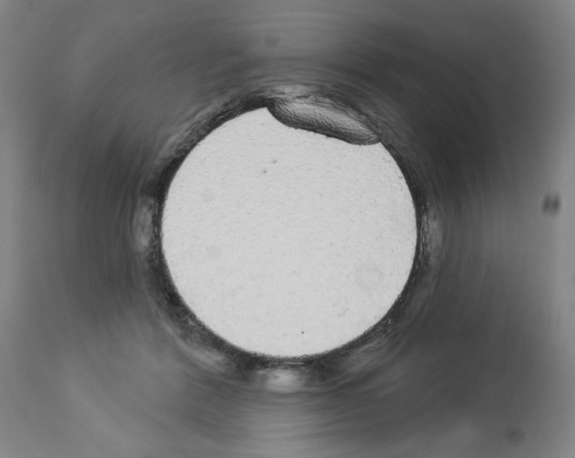X0000112910412200910051048