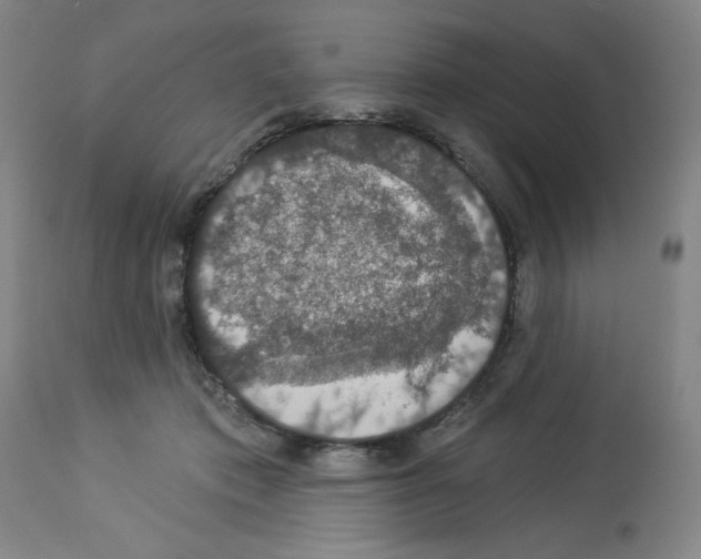 X0000112910413200910051048
