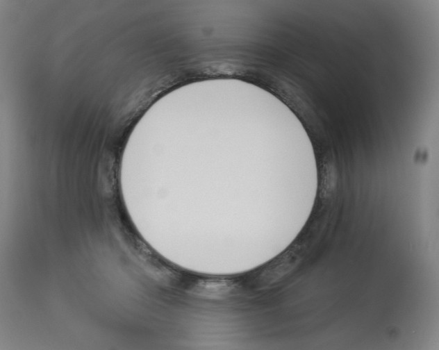 X0000112910414200910051048