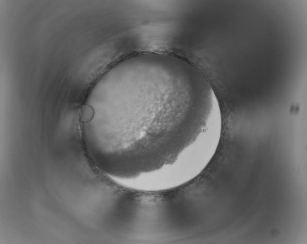 X0000112910415200910051048