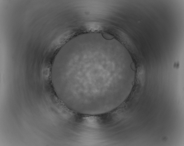 X0000112910417200910051048