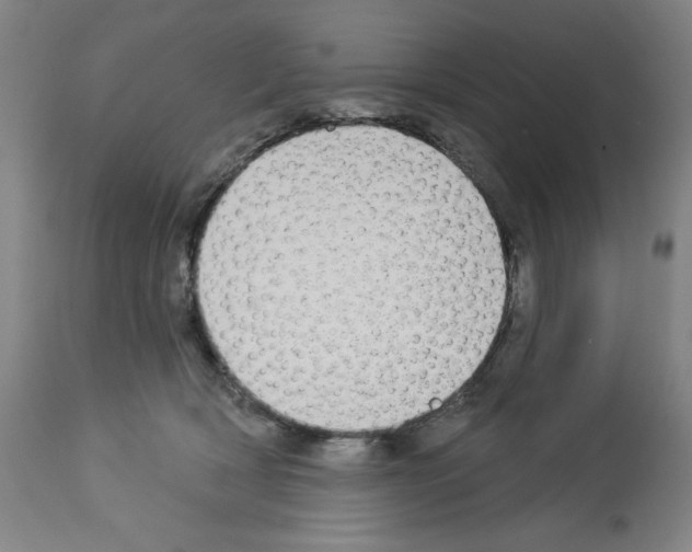 X0000112910418200910051048
