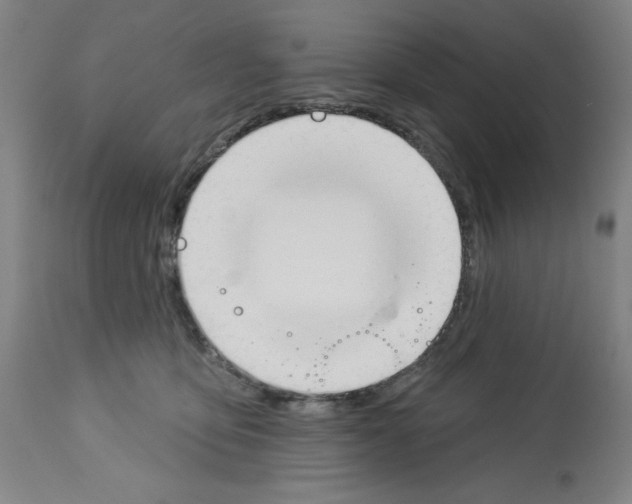 X0000112910419200910051048