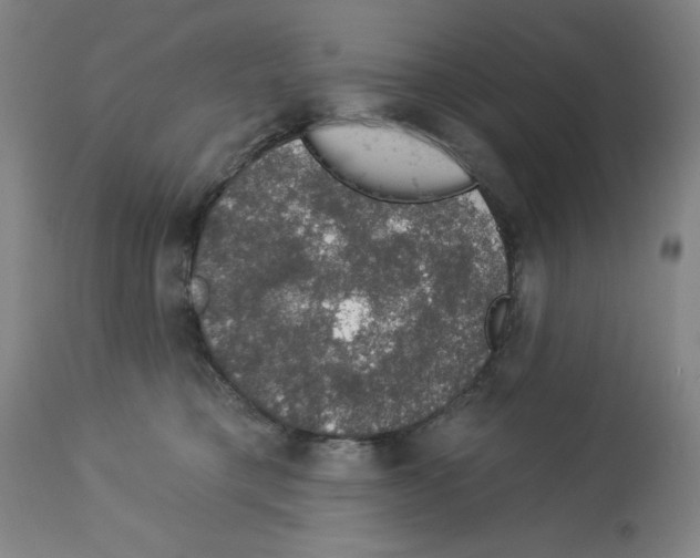 X0000112910421200910051048