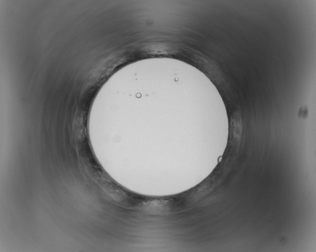 X0000112910422200910051048