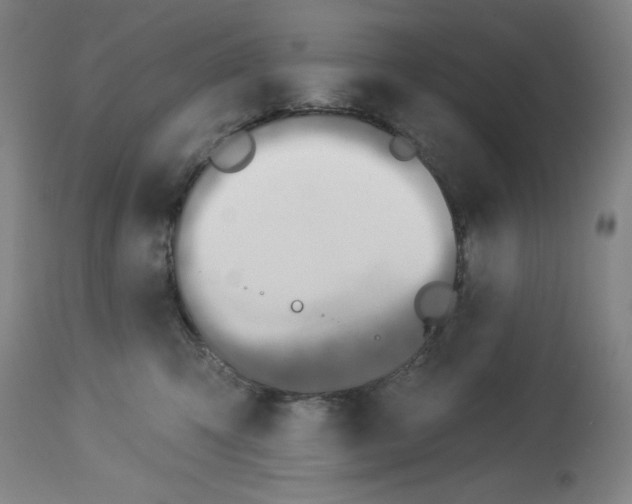 X0000112910423200910051048