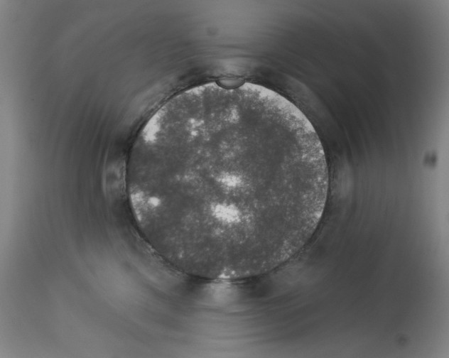 X0000112910425200910051048