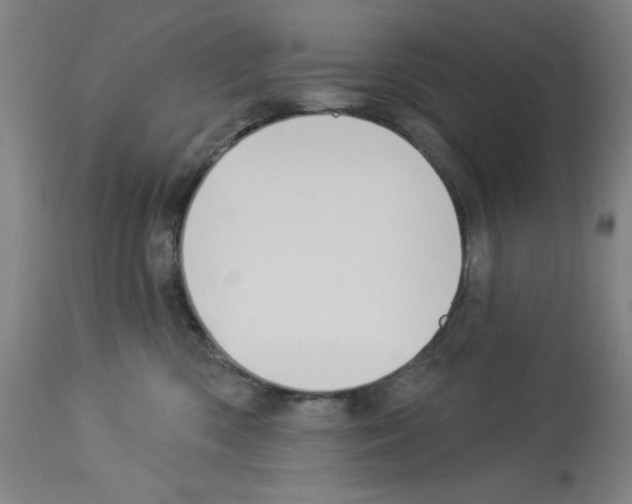 X0000112910426200910051048