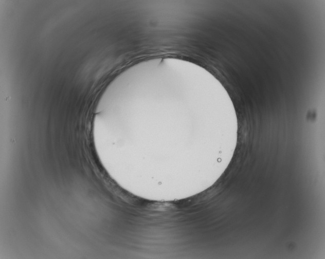 X0000112910427200910051048