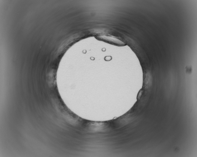 X0000112910428200910051048