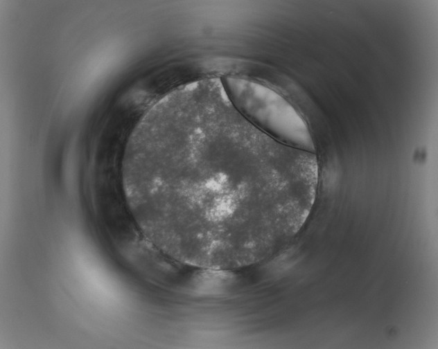 X0000112910429200910051048