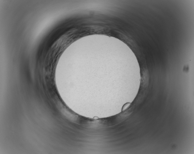 X0000112910430200910051048