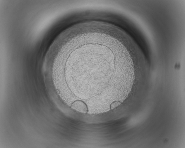 X0000112910431200910051048