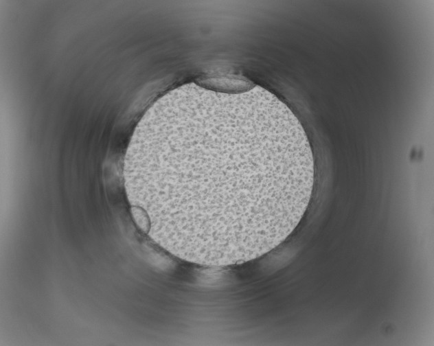 X0000112910432200910051048