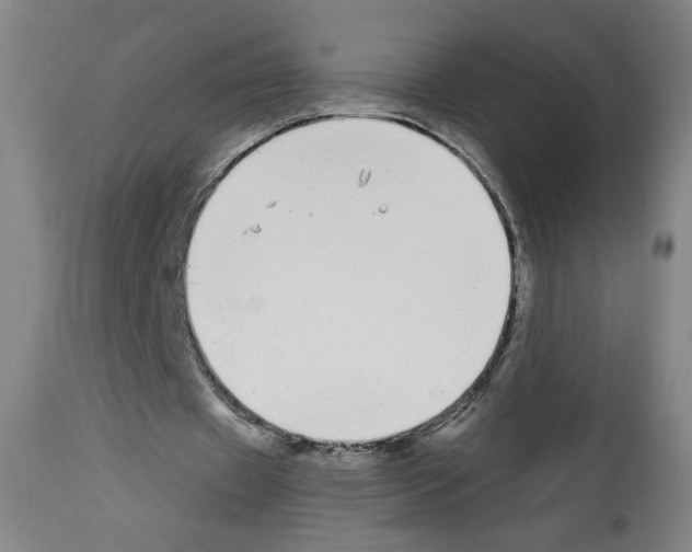 X0000112910433200910051047