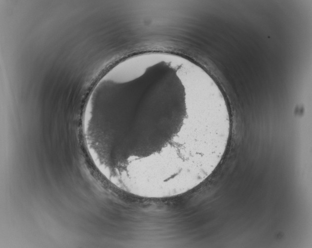 X0000112910434200910051047