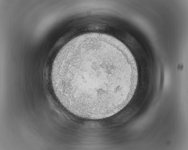 X0000112910435200910051047