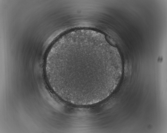X0000112910436200910051047