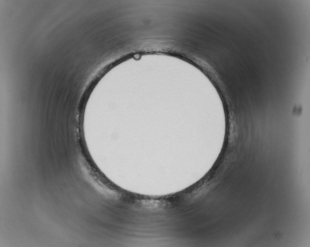 X0000112910439200910051047