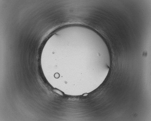 X0000112910440200910051047