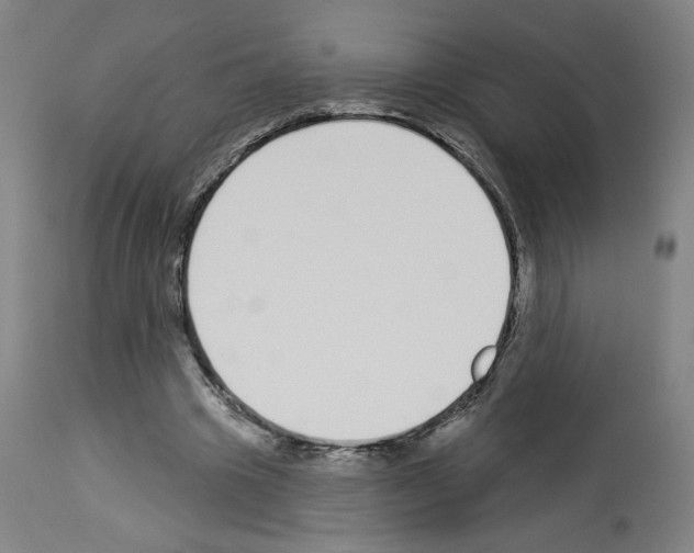 X0000112910441200910051047