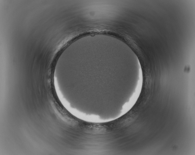 X0000112910443200910051047