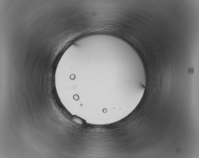 X0000112910444200910051047