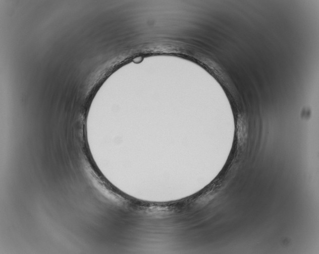 X0000112910445200910051047