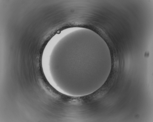 X0000112910447200910051047