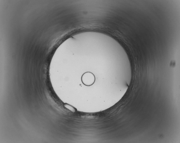 X0000112910448200910051047