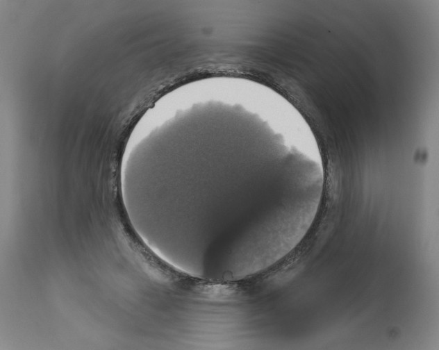 X0000112910449200910051047