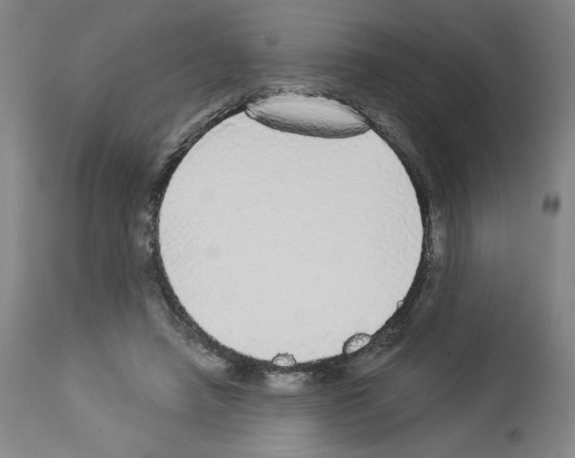 X0000112910450200910051047